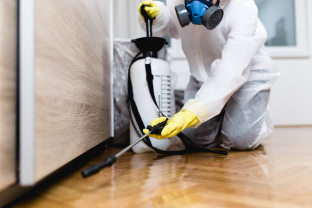 Best Emergency Pest Control  in Bunker Hl, IL