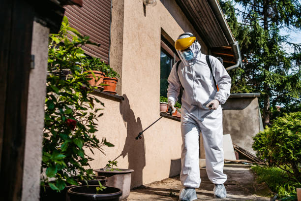 Best Local Pest Control Services  in Bunker Hl, IL