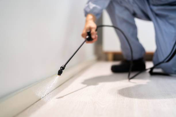 Best Residential Pest Control  in Bunker Hl, IL