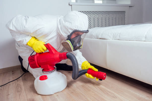 Best Rat Extermination Near Me  in Bunker Hl, IL