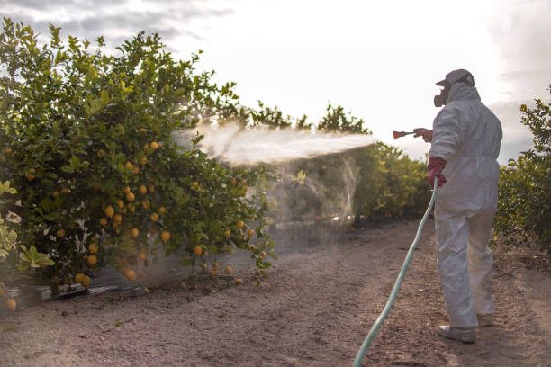Best Pest Removal Services  in Bunker Hl, IL