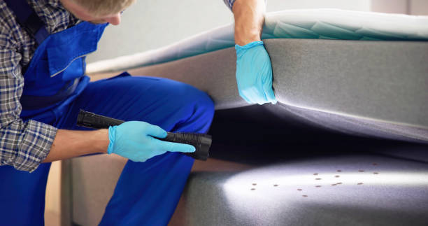 Best Best Pest Control Companies  in Bunker Hl, IL