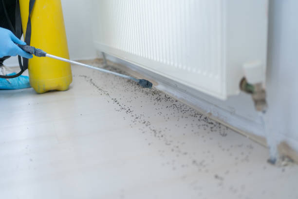 Pest Control for Restaurants in Bunker Hill, IL