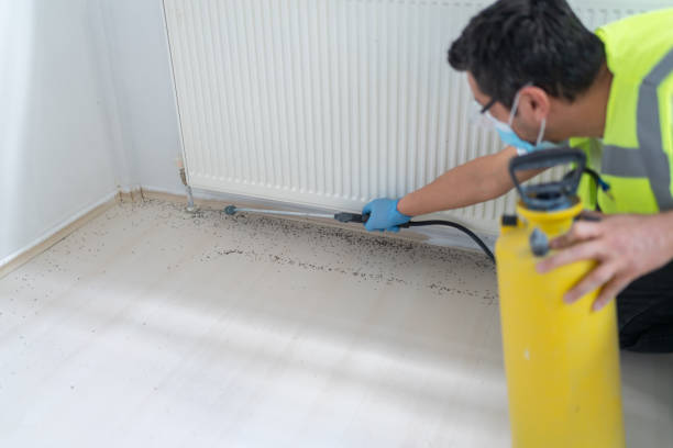 Reliable Bunker Hill, IL Pest Control Solutions